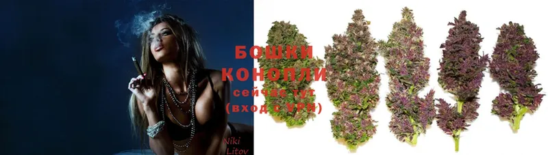 наркошоп  Петровск-Забайкальский  Каннабис LSD WEED 